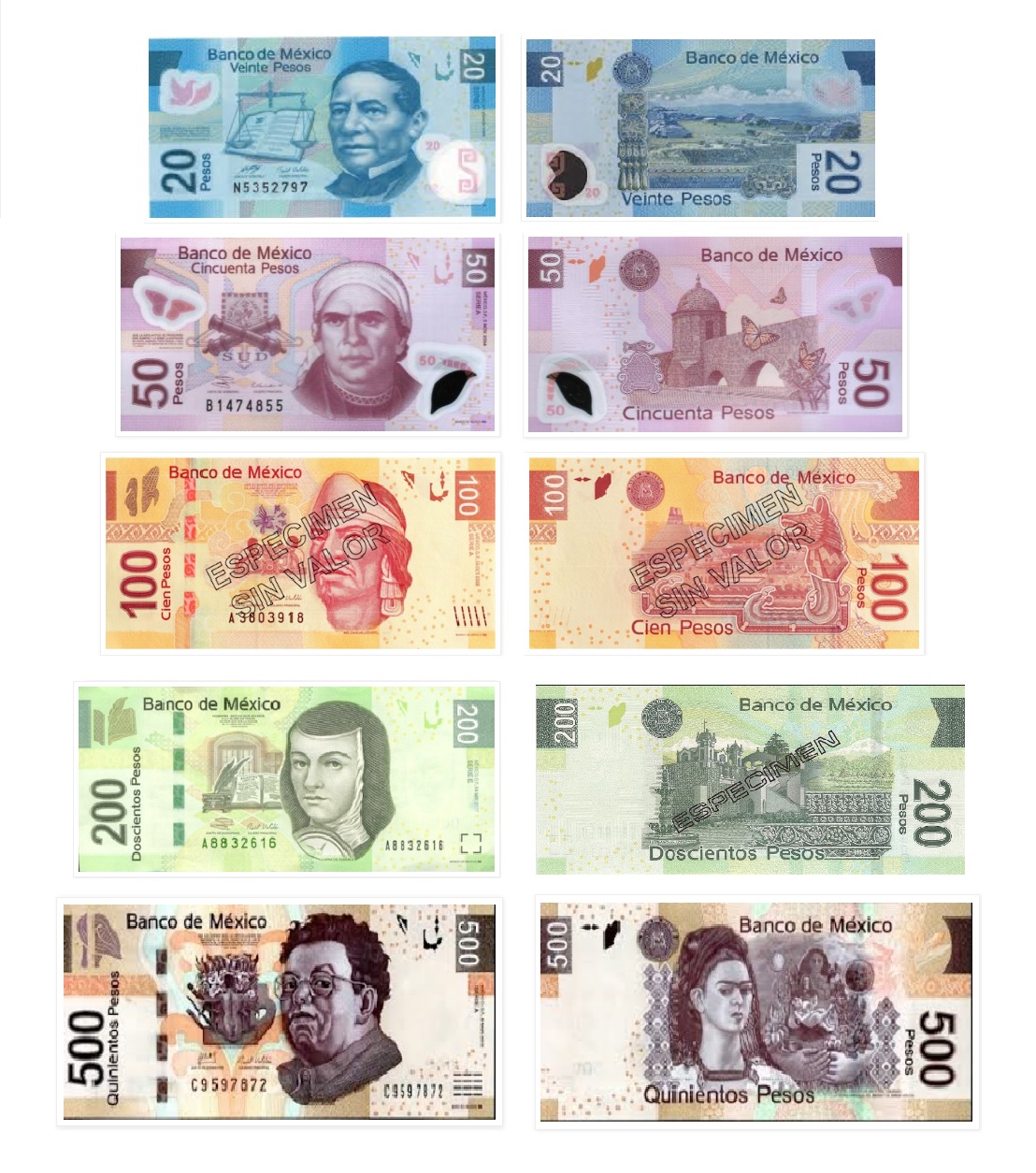 Mexican Currency Pictures 16